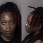 Kiara Johnson Dwi Reckless Driving To Endanger
