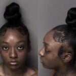 Zayonna Holmes Driving While License Revoked Not Impaired Hit And Run Leave Scene Per Injury