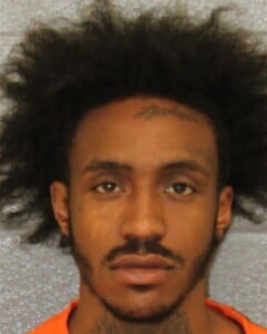 Diontae Brown Felony Larceny Battery Of Unborn Child Assault On A Female