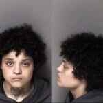 Alexandra Montgomery Failure To Appear Felony