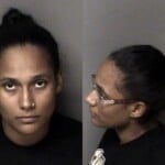 Alice Withers Possess Methamphetamine Possess Drug Paraphernalia