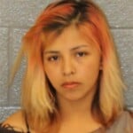 Sandra Deleon Failure To Heed Light Or Siren Contributing To Juvenile
