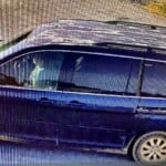 Abandoned Puppies Pic 6