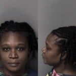 Cagney Williams Hitrun Leave Scene Property Damage Insurance No Liability Registration Platecard Expired