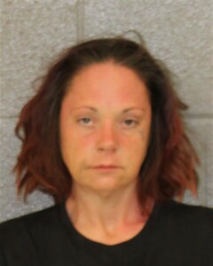 Kimberly Gibson Possess Methamphetamine Poss Cs Prisonjail Premises Second Degree Trespass