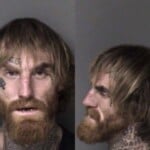 James Mcalister Robbery Dangerous Weapon Assault Pointing A Gun