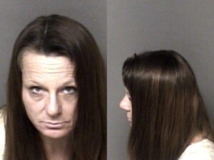 Dana Honeycutt Misd Crime Of Dom Violence