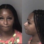 Amaya Martin Misd Crime Of Dom Violence