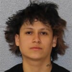 William Alfaro Possess Cocaine Simple Affray Assault On A Female