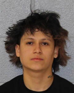 William Alfaro Possess Cocaine Simple Affray Assault On A Female