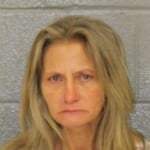 Danielle Barnes Larceny Driving While License Revoked Impaired