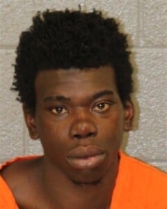 Siyone Harrington Larceny