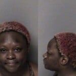 Sharon Johnson Failure To Appear Misdemeanor Dwlr Impaired License Expired Operators