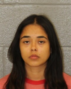 Brissa Caceres Breakenter Motor Veh W Theft Felon Conspiracy Breakenter Motor Veh W Theft Felony Conspiracy