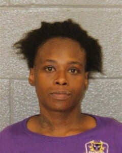 Bianca James Communicating Threats Misdemeanor Child Abuse Assault With A Deadly Weapon Hitrun Leave Scene Prop Dam Misd Crime Of Dom Violence