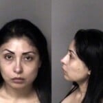 Jovani Reyes Nino Assault Simple Misd Crime Of Dom Violence