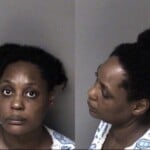 Janet Miller Misd Crime Of Dom Violence