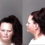 Amy Carroll Larceny Misdemeanor