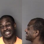 Domenichi Fair Failure To Appear Possess Stolen Motor Vehicle