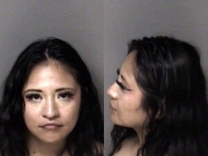 Karen Martinez Hitrun Leave Scene Property Damage