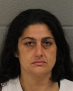 Alev Atac Felony Larceny Possession Of Stolen Goods Felony Conspiracy