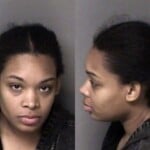 Andrea Isles Crime Of Domestic Violence
