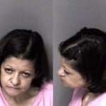 Susan Jacobs Probation Violation