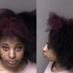 Atya Hailey Misd Crime Of Dom Violence