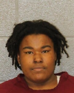 Jazmine Gant Simple Assault Misd Crime Of Dom Violence