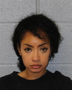 Christine Chisholm Hi Felony Probation Violation