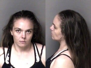 Ashley Denison Possess Cocaine Possess Drug Paraphernalia Resist Public Officer Probation Violation
