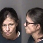 Cynthia Williams Probation Violation