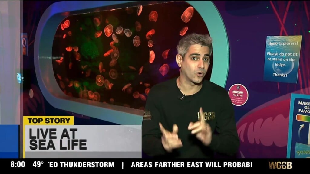 Up 'n Adam: "remarkably Bright Creatures" At Sea Life
