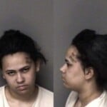 Rachel Newton Resist Public Officer Disoderly Conductschool Assault Government Official