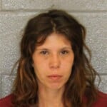 Brenda Brooks Ficticious Information To Officer Resisting Public Officer Failure To Wear Seat Belt Passenger Second Degree Trespass