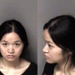 Nhu Nguyen Assault Simple