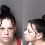 Caylea Ryan Failure To Appear