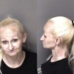 Sandra Hayes Failure To Appear Felony