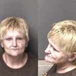 Tina Brawley Shopliftingconceal Goods