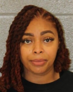 Asheeka Bryan Felony Larceny Breaking And Entering