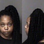 Tashma Bigelow Resist Public Officer