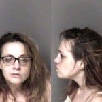 Hayley Hargett Possess Methamphetamine Fraud Financial Card Unauthorized Use Of Motor Vehicle Extraditionfugitive Other State