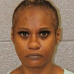 Shana Henriques Larceny Shoplifting Concealment Goods