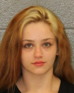Skylar Wilson Common Law Robbery Larceny Simple Assault Possess Methamphetamine