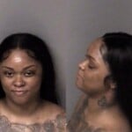 Norzenia Monroe Larceny Dog Breaking And Entering