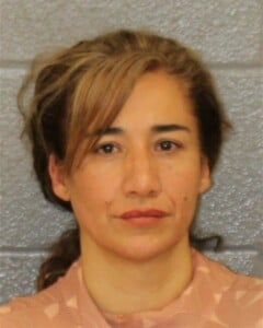 Lydia Benavidesgonzalez Obtain Property False Pretense Failure To Deliver Title