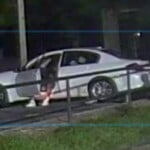 Vandalism 4