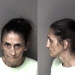 Amanda Britt Possess Methamphetamine Possess Drug Paraphernalia Failure To Appear Misdemeanor