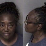Karen Ross Hit And Run Fail Stop Property Damage