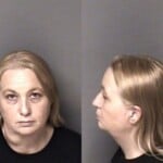 Angel Mcmanus Fraud Insurance